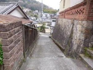 View 32