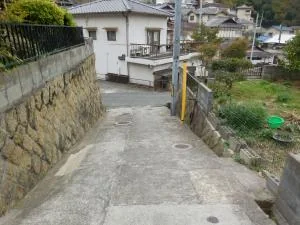 View 33