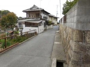 View 34