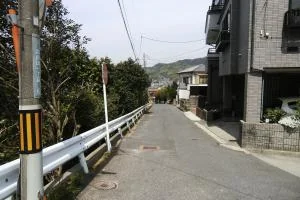 View 23