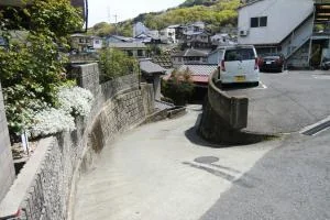 View 24