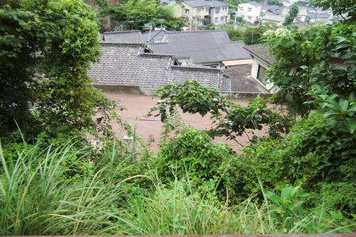 View 5