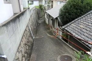 View 8