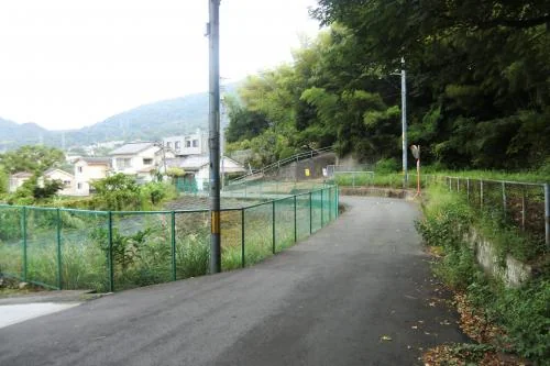 View 6