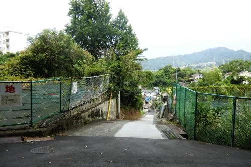 View 7
