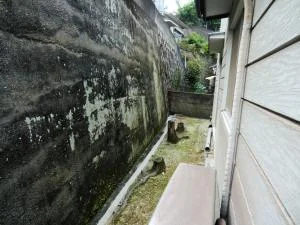 View 18