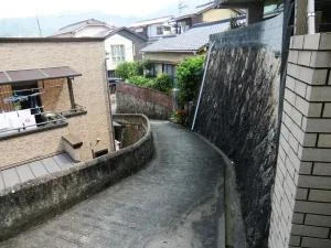 View 21