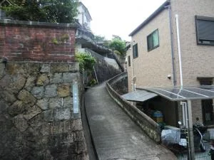 View 24