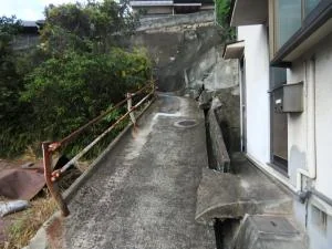 View 5