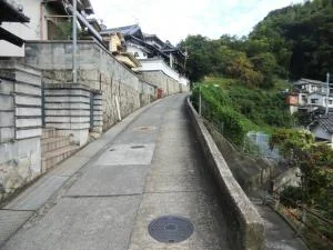 View 7