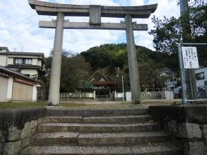 View 9