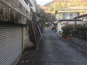 View 31