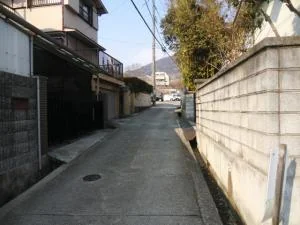 View 24