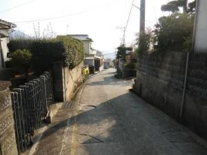 View 25