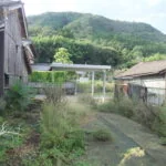 View 11
