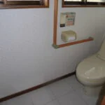 View 12
