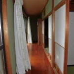 View 14