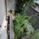 View 38