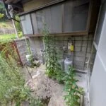View 40