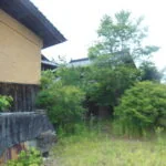 View 21