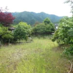 View 22