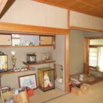 View 5