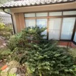View 16