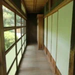 View 13