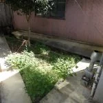 View 21