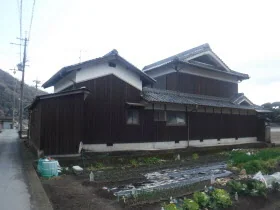 View 4