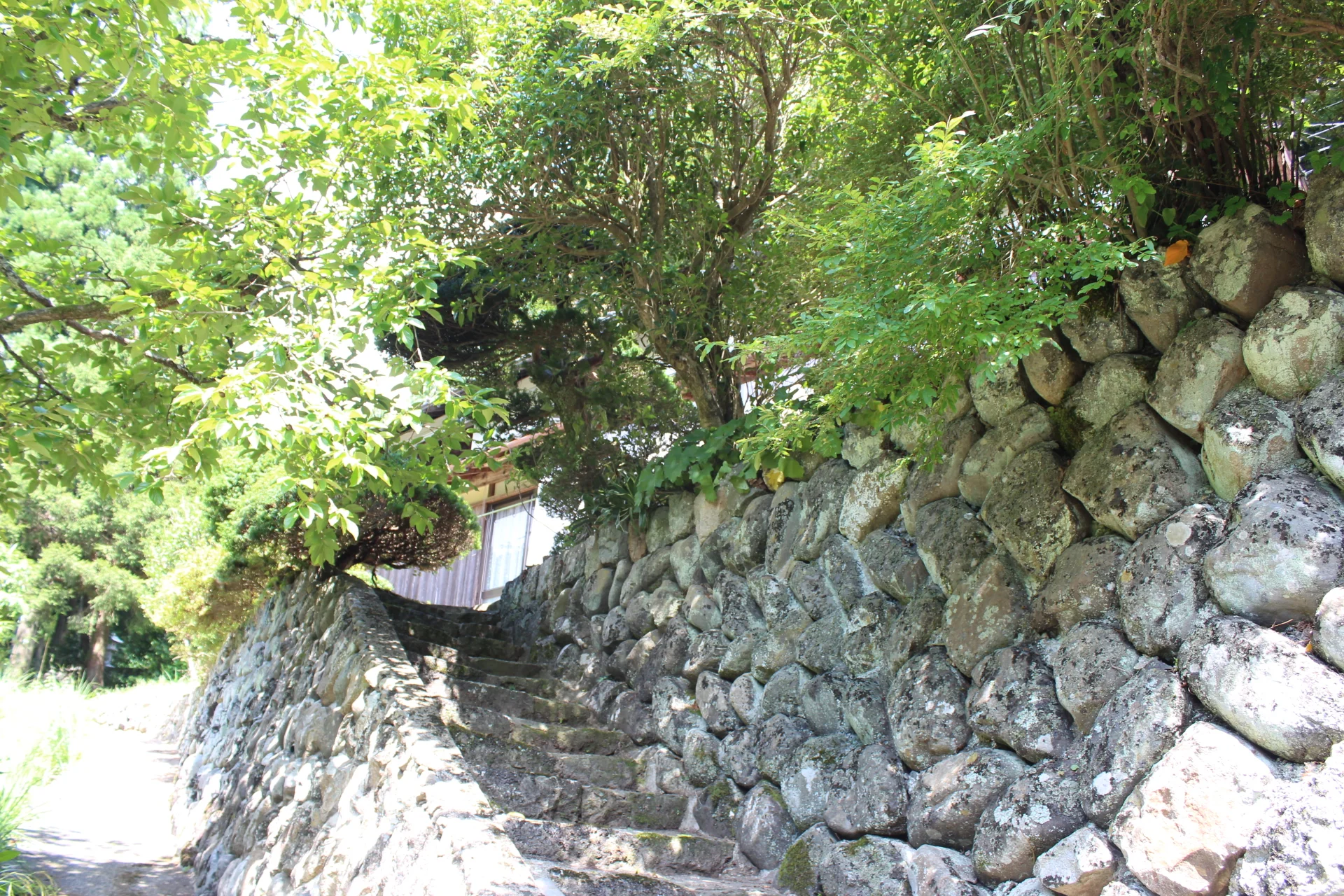 View 15