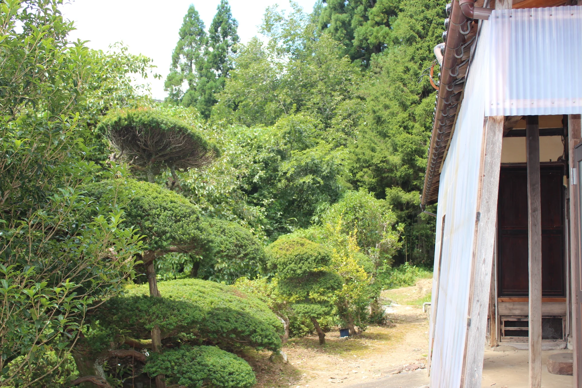 View 16