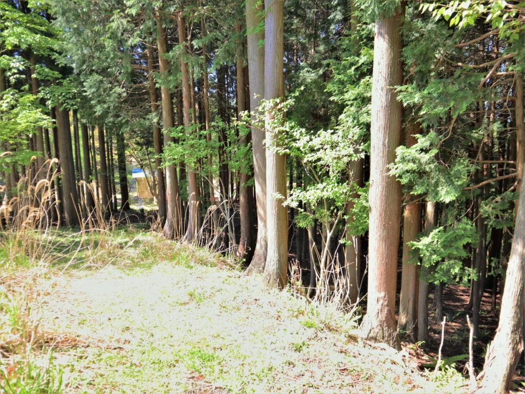 View 11