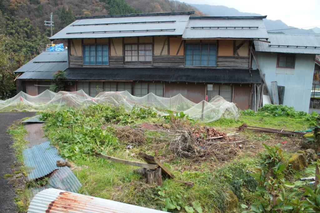 View 21