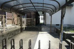 View 11