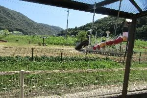 View 13