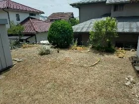 View 15