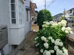 View 16