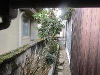 View 4