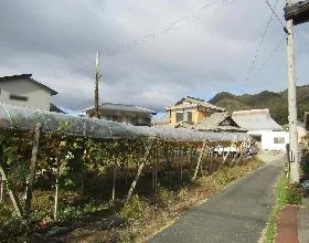 View 14