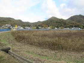 View 15