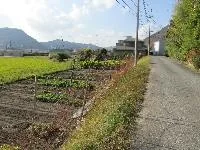 View 21