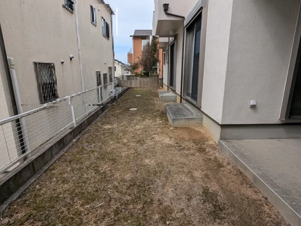 View 5