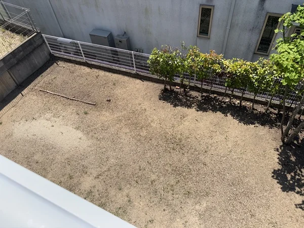 View 25