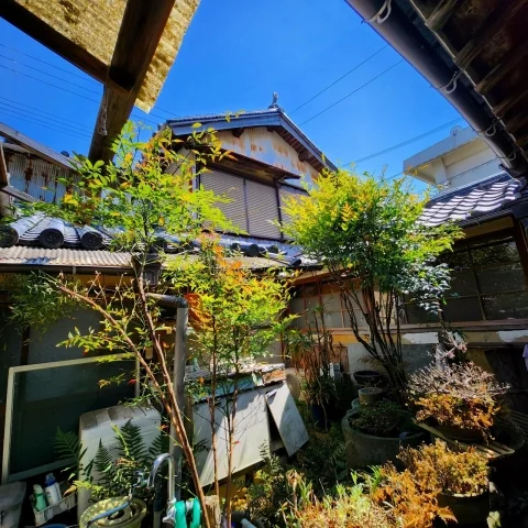 View 11