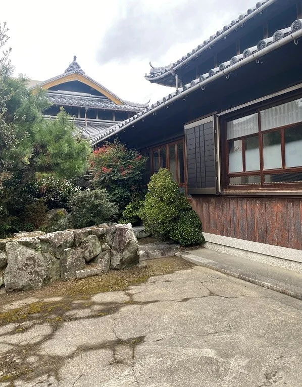 View 7