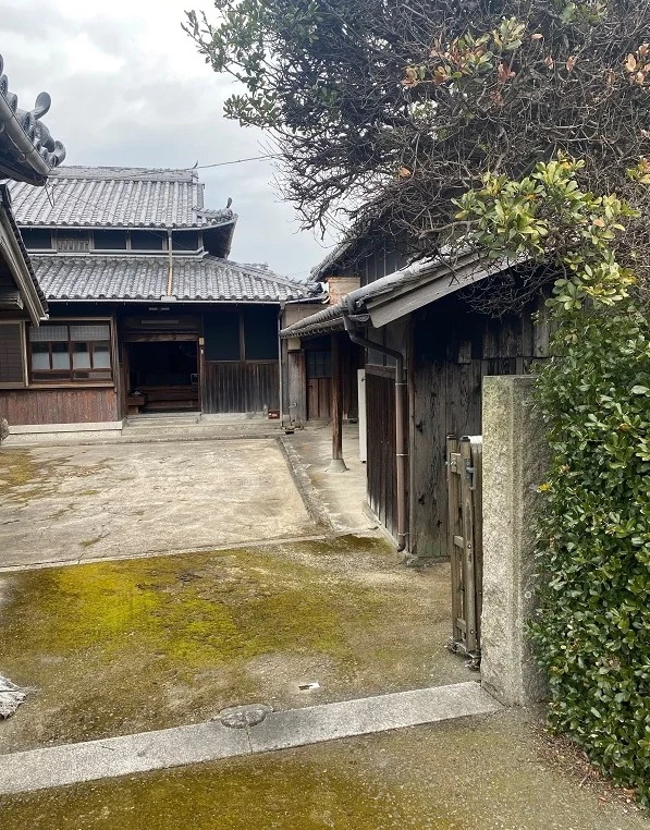View 8