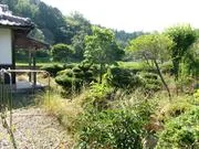 View 3