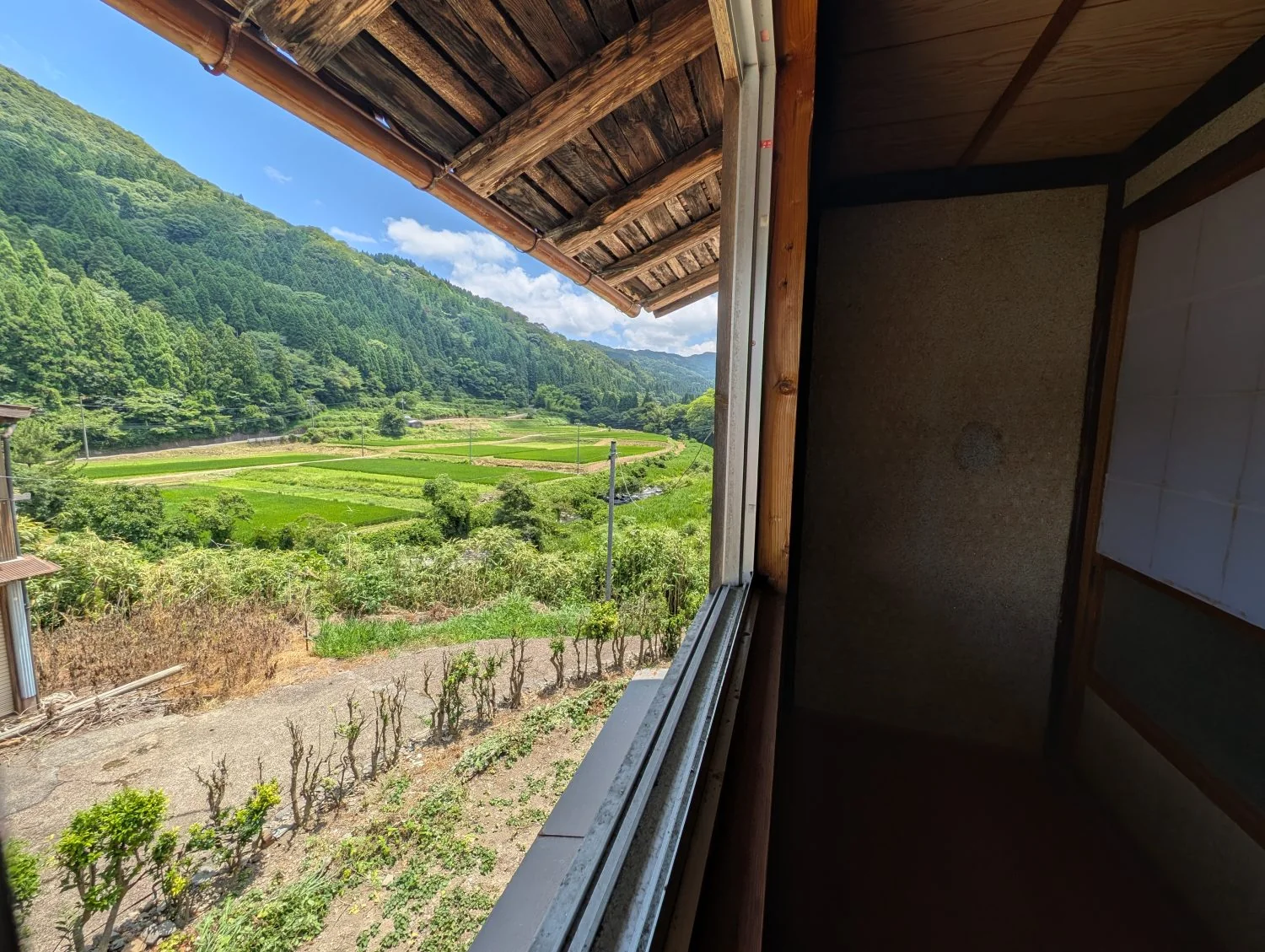 View 12