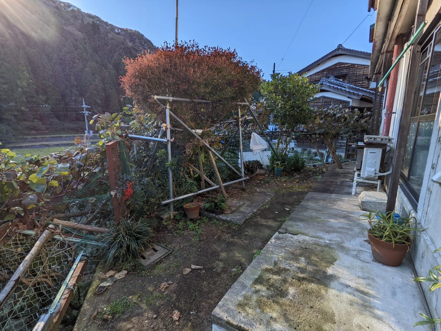 View 15